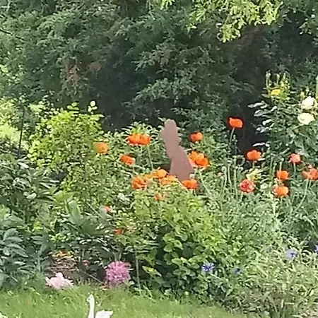 Casa de Férias La Tour De La Chapelle *