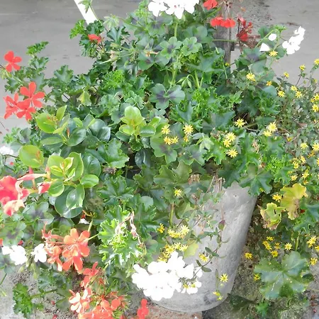 La Tour De La Chapelle Couthuin