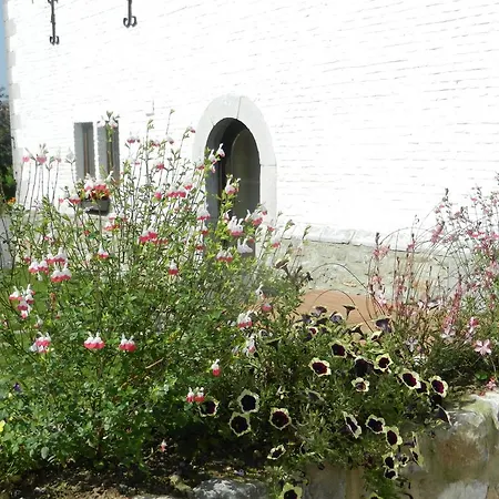 La Tour De La Chapelle Couthuin